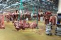 Distribution de gros. Pavillon de viande à Rungis
